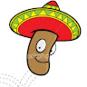 Meet your Posher, Picklebeanteam